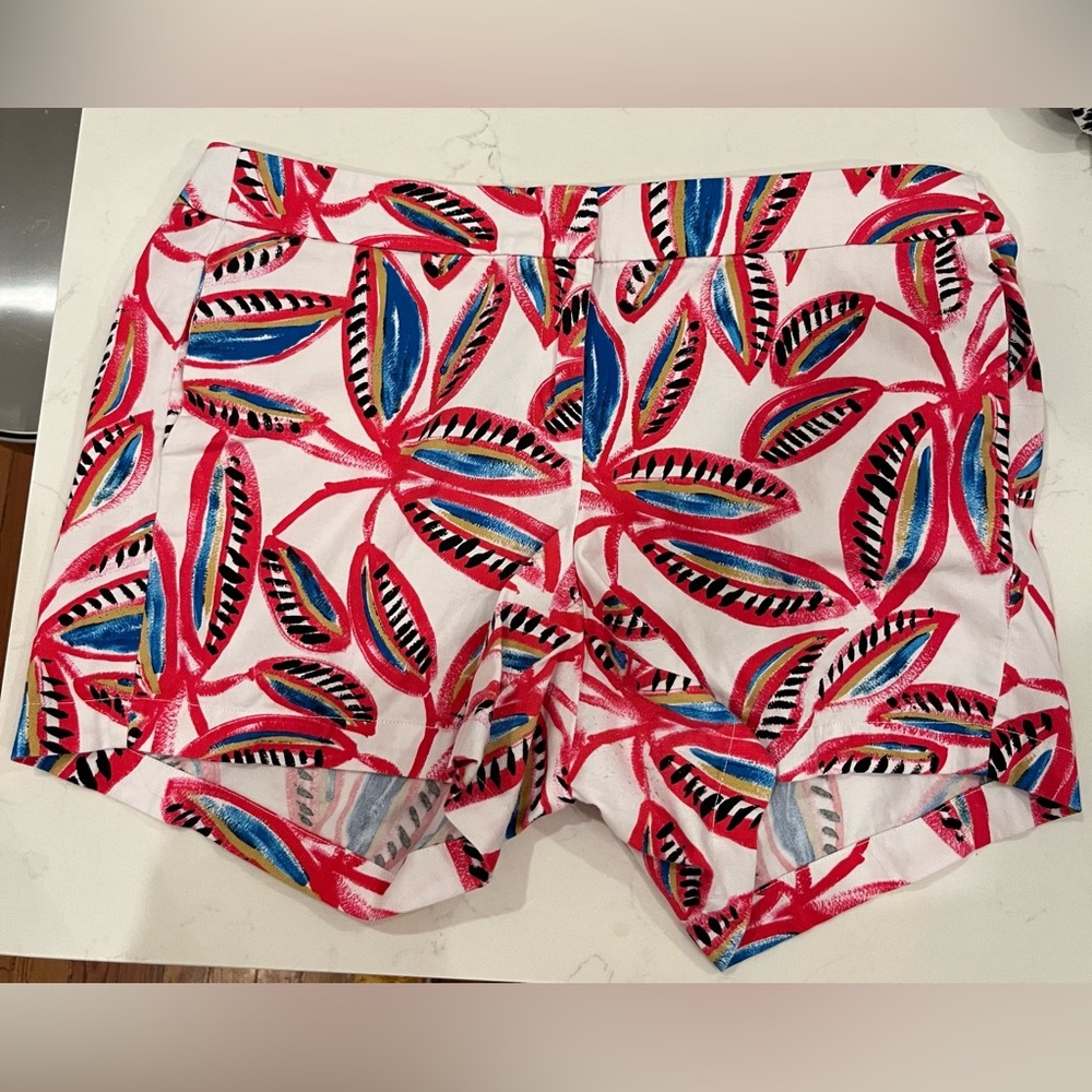 Size 12 J Crew Shorts
